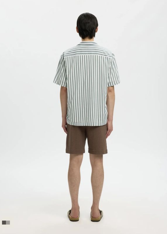 Selected Men Shirt Mix Balsam Green White Stripes