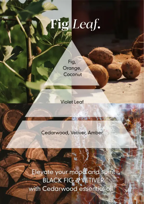 Osmology by Aery Fig Leaf hand cream
