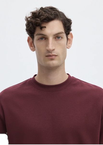 Hovedbilde Selected Homme Loose Oscar T-Shirt Tawny Port